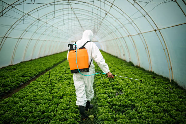 Best Best Pest Control Companies  in Larimore, ND